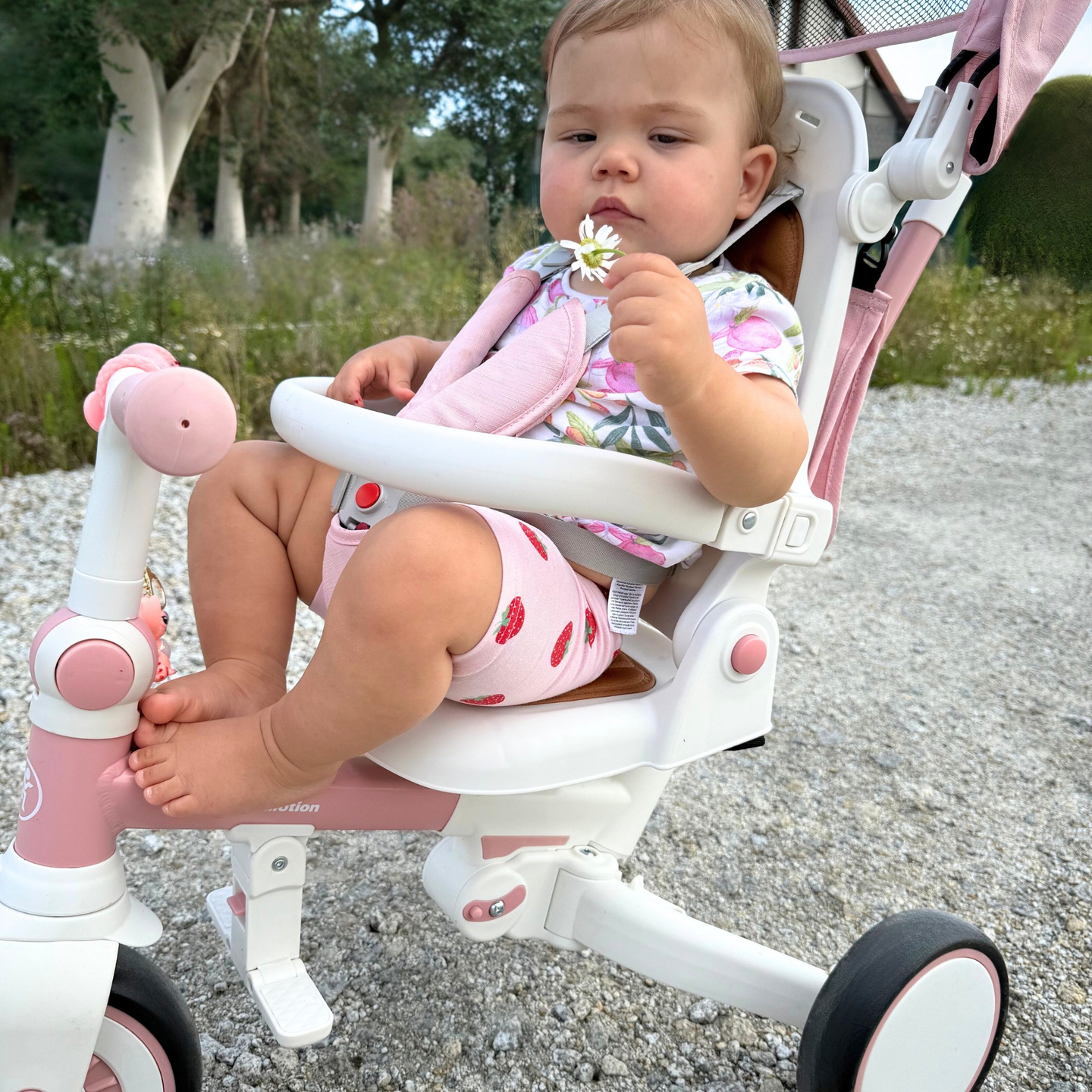 8in1 Multifunktions-Dreirad TOBI FOREST - rosa