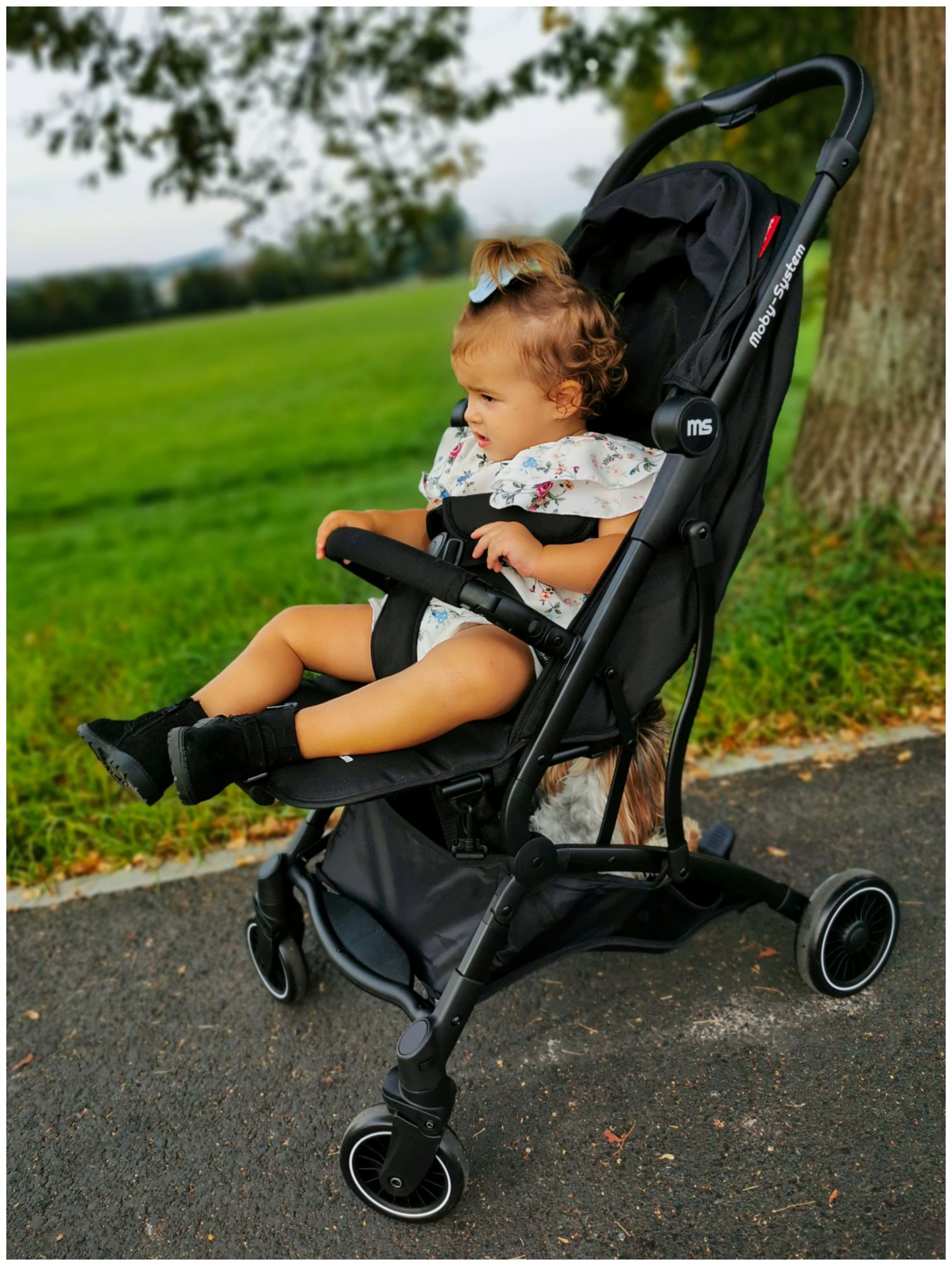 Kinderbuggy Moby-System LENA