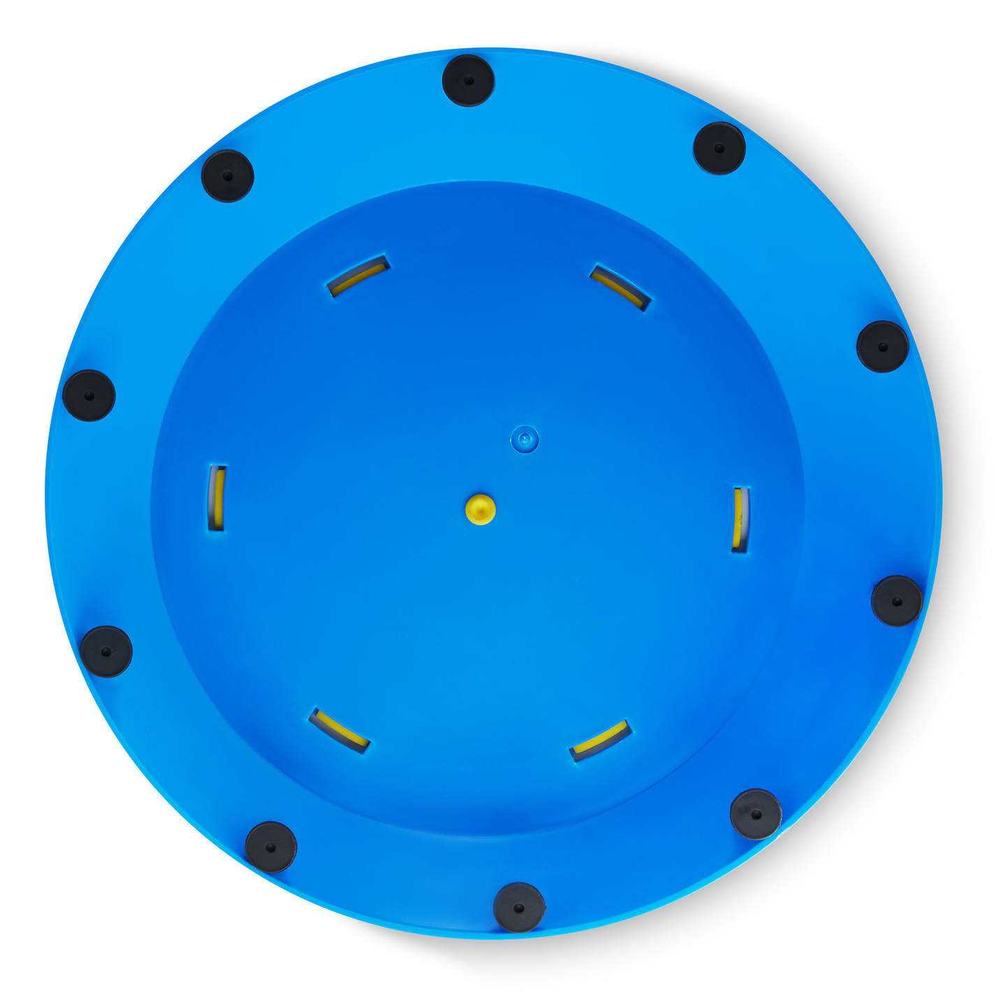 Sinnespfad für Kinder - Bunte Schildkröte