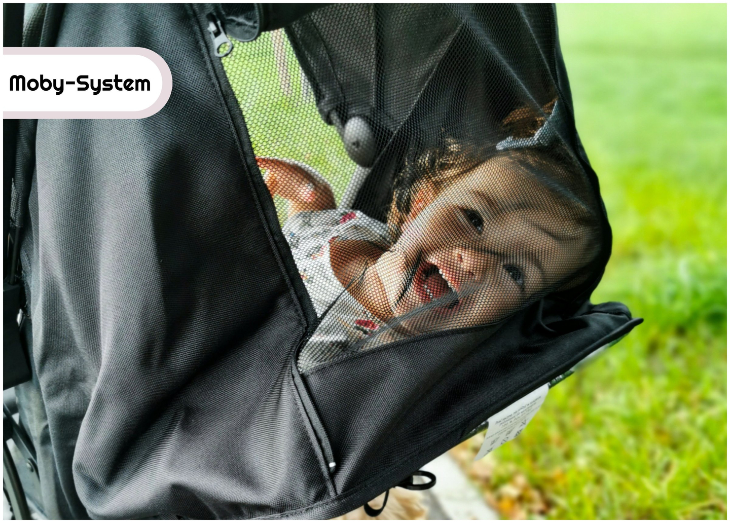 Kinderbuggy Moby-System LENA