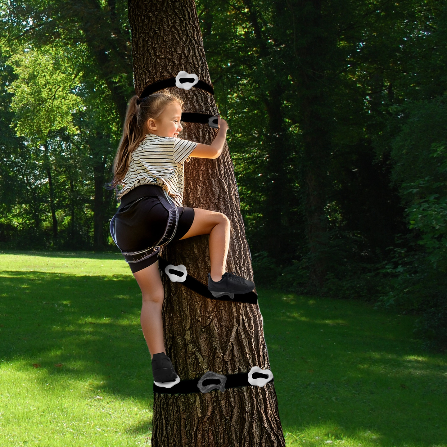 HyperMotion Baumkletterausrüstung - 18 Artikel